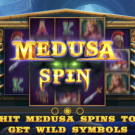 Medusa’s Stone