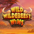 Wild Wildebeest Wins Slot